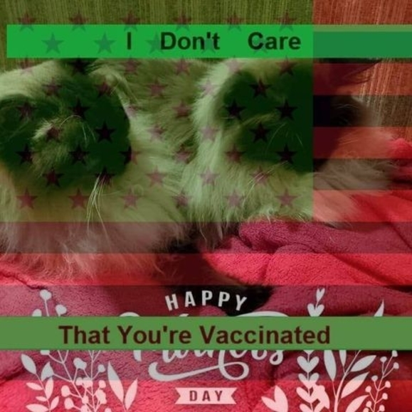 Meet your Posher, Frank - Picture 1 of 1